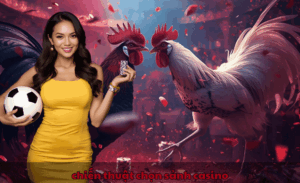 chiến thuật chọn sảnh casino