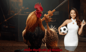 Chiến thuật đá gà Thomo