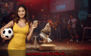 Mẹo chọn nhà cái bắn cá