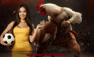 mẹo chọn sảnh thể thao