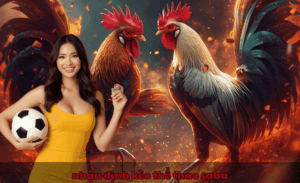 Nhận định kèo thể thao Saba